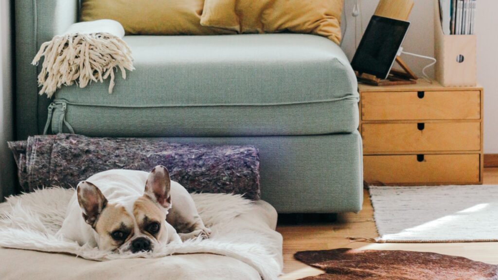 um cachorrinho deitado em uma almofada aos pés de uma poltrona